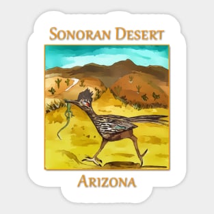 Roadrunner as seen in the Sonoran Desert Sticker